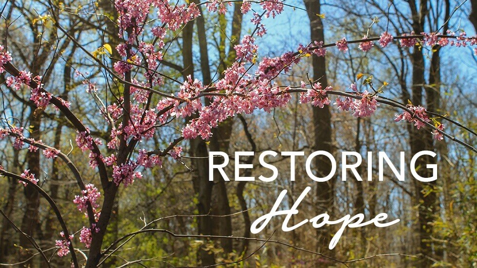 Restoring Hope: A Retreat for Metastatic Breast Cancer Patients